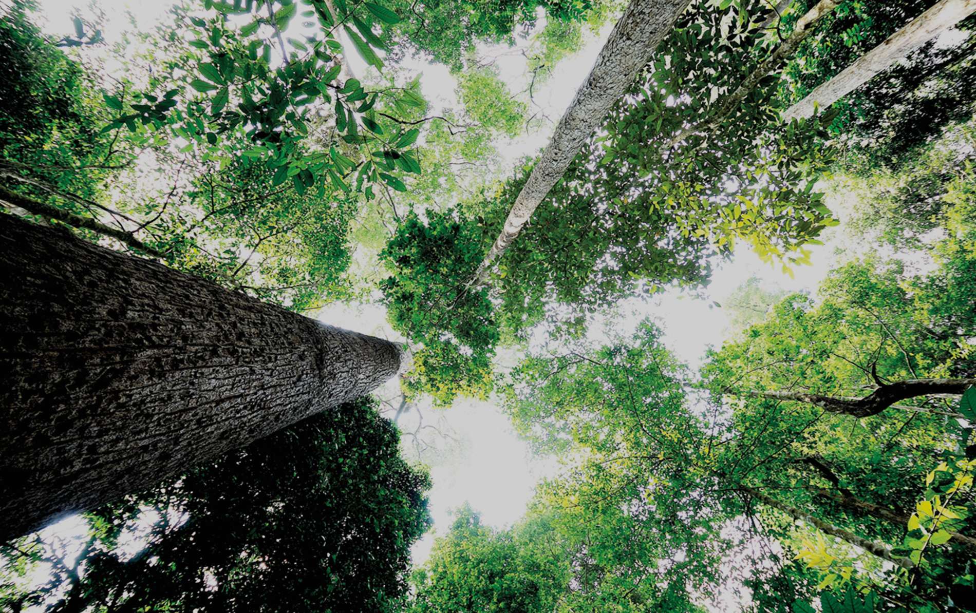 Redd homepage banner 3